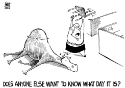 HUMP DAY, B/W by Randy Bish