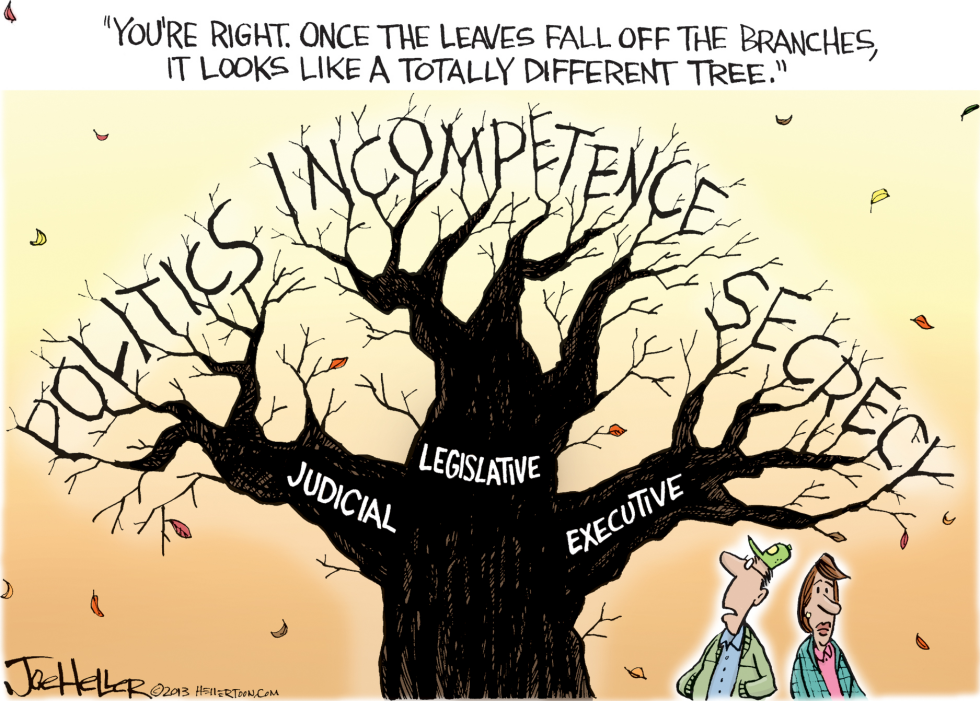 Branches