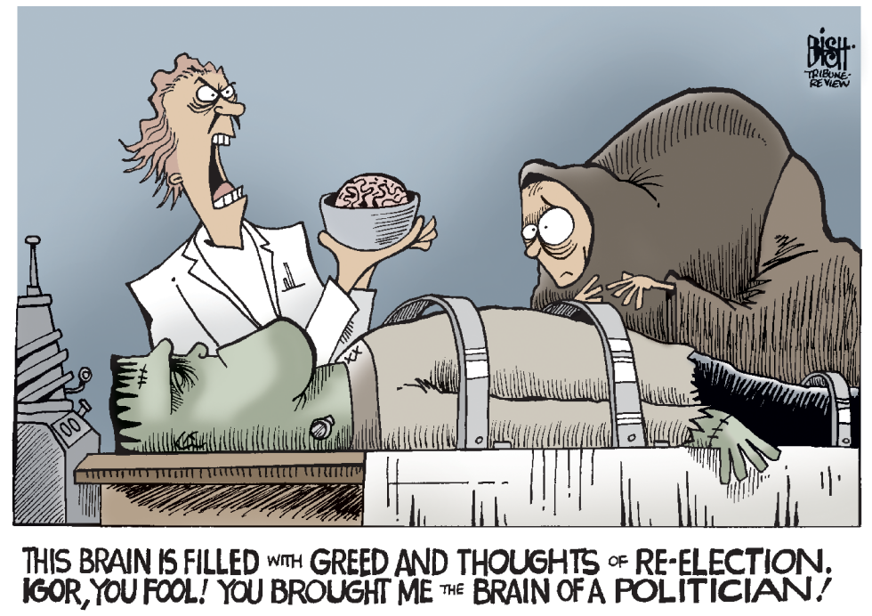 MONSTERS AND POLITICS, COLOR