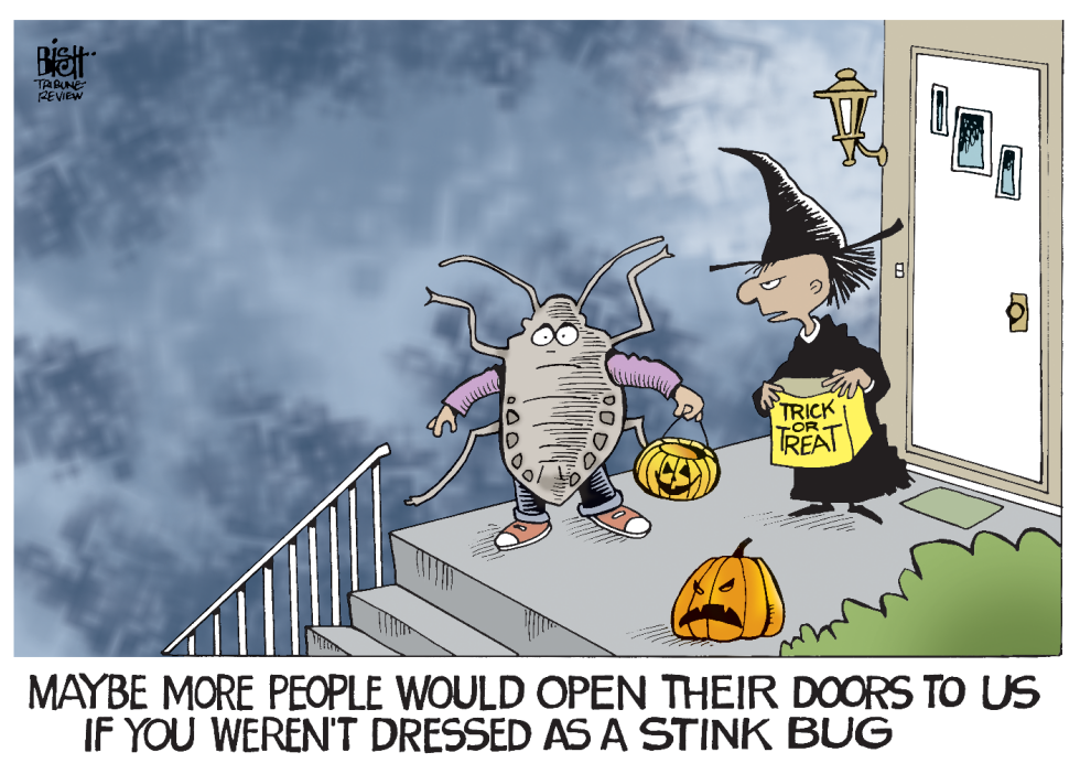 SCARY STINK BUG, COLOR