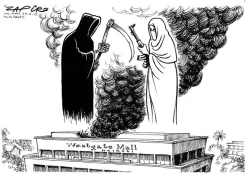 MALL SHOOTING by Zapiro
