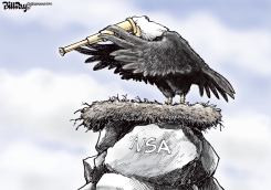 NIDO DEL AGUILA /  by Bill Day