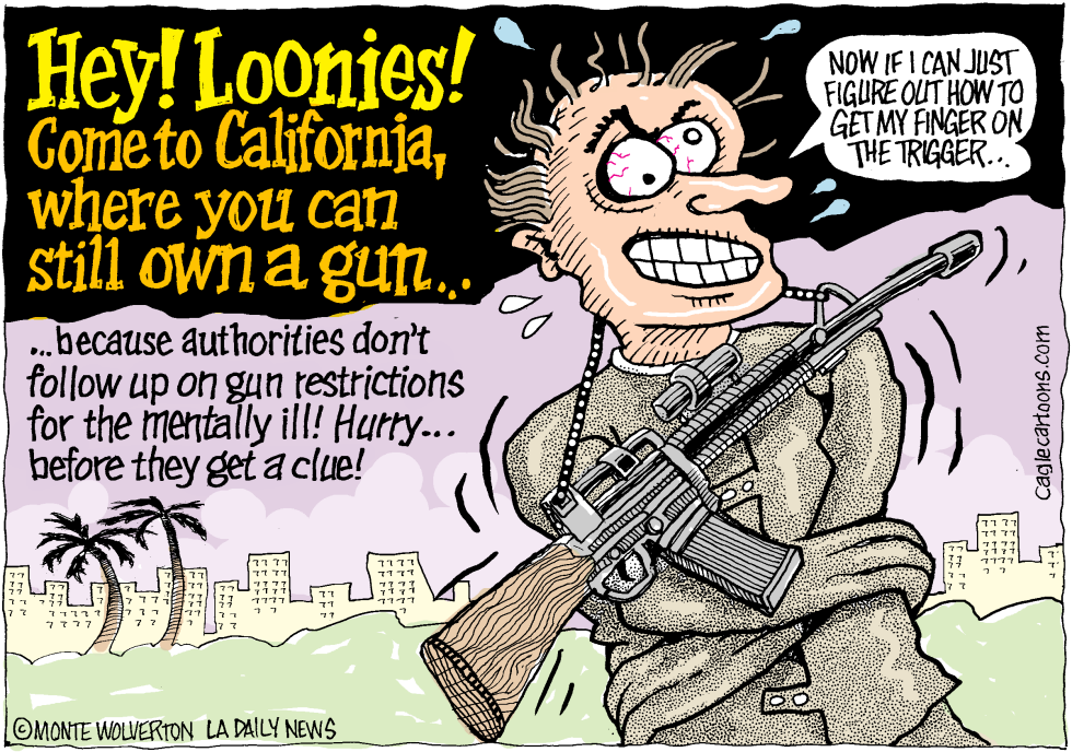  LOCAL-CA MENTALLY ILL WITH GUNS by Wolverton