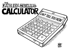 SEBELIUS CALCULATOR, B/W by Randy Bish