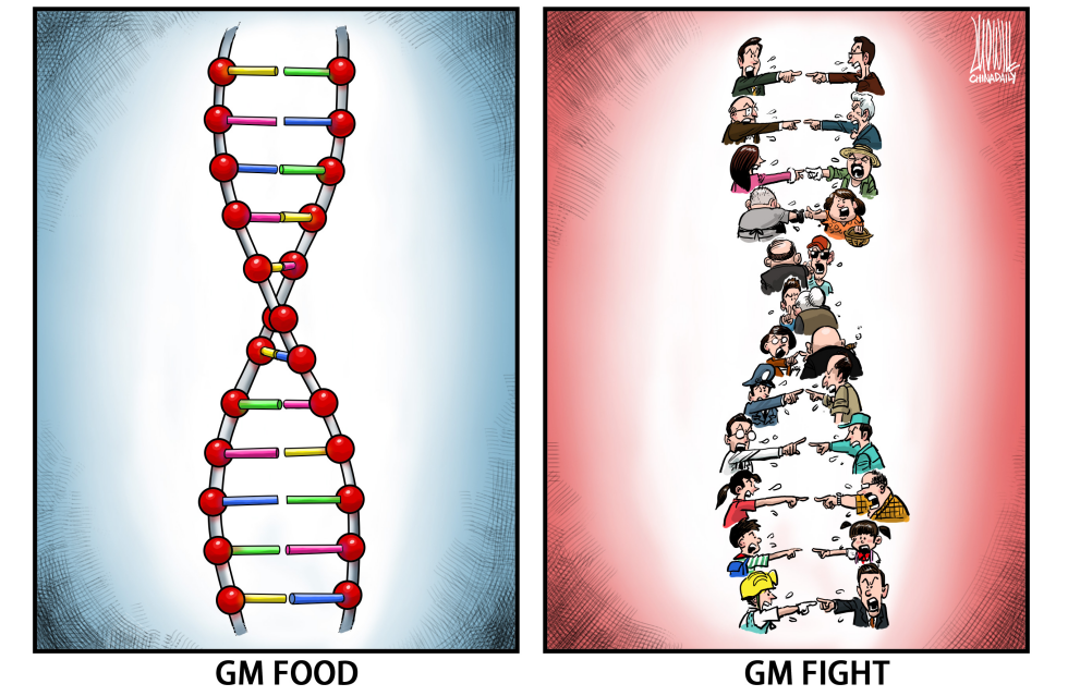 GM food debate