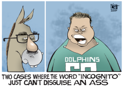 INCOGNITO,  by Randy Bish