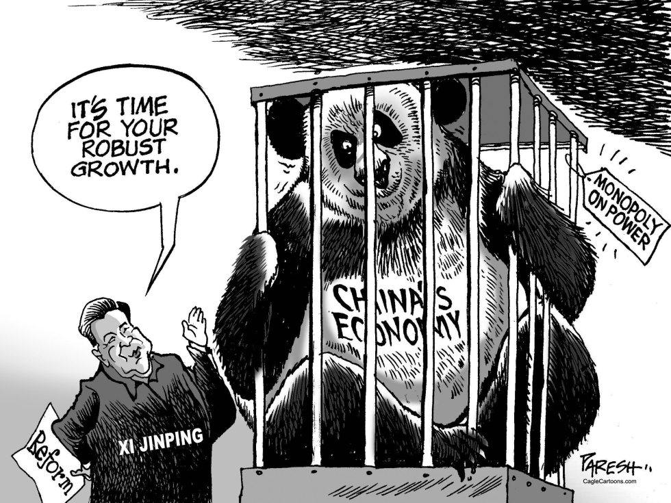 China's Growth