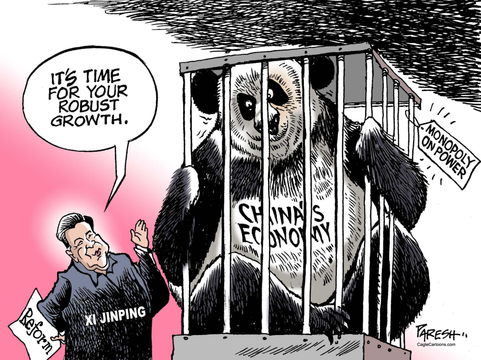  CHINA'S GROWTH by Paresh Nath