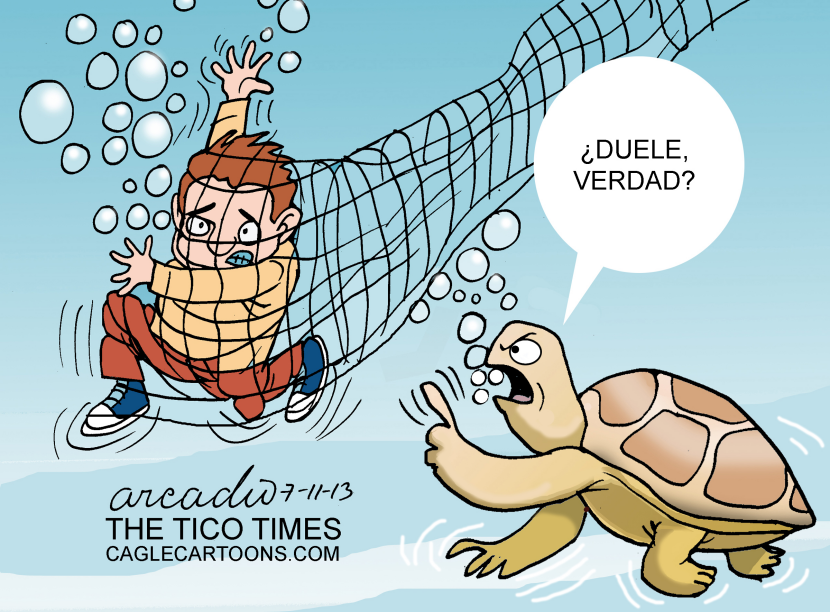 Tortugas maltratadas