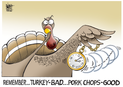 RECONSIDER TURKEY,  by Randy Bish