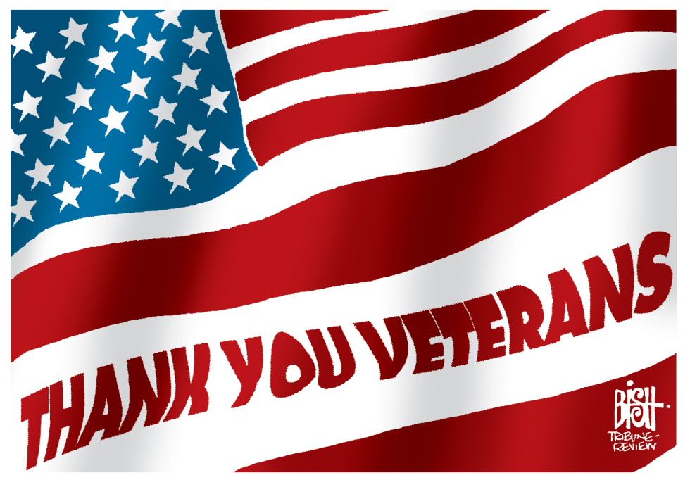VETERANS DAY, 2013, COLOR