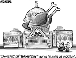 TURKEYLAND by Steve Sack