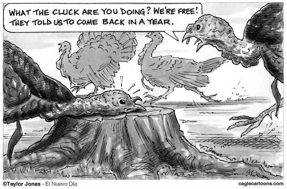 Turkey Day
