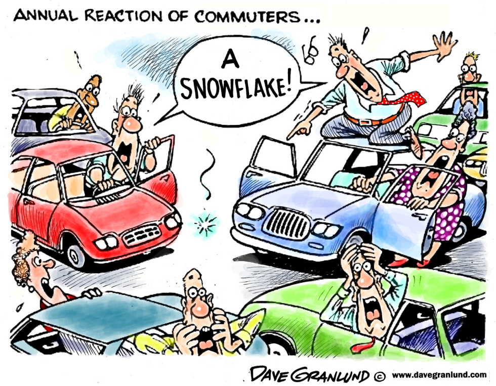First snowflake