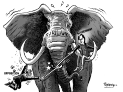 THAI FACE-OFF by Paresh Nath