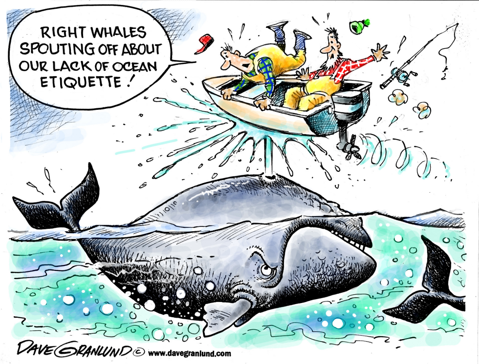  OCEAN ETIQUETTE AND WHALES by Dave Granlund