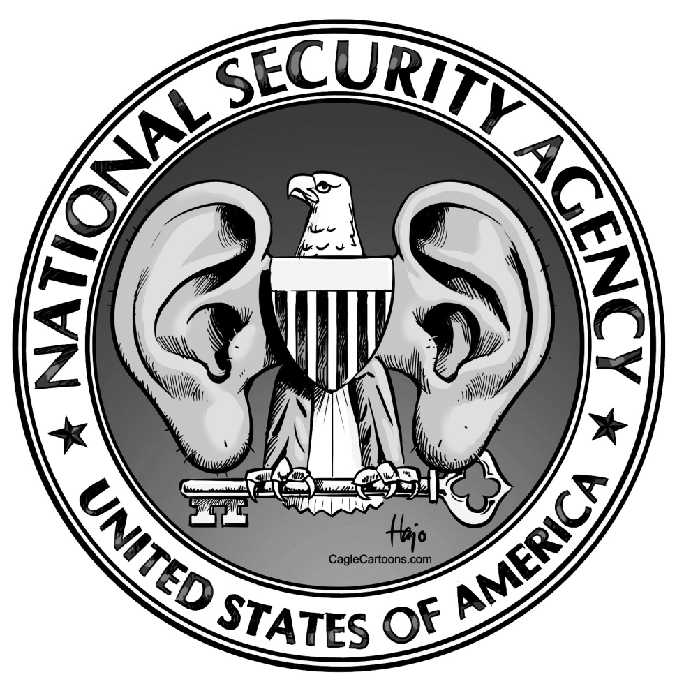NSA logo gr