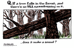 NSA EAVESDROPPING  by Jimmy Margulies