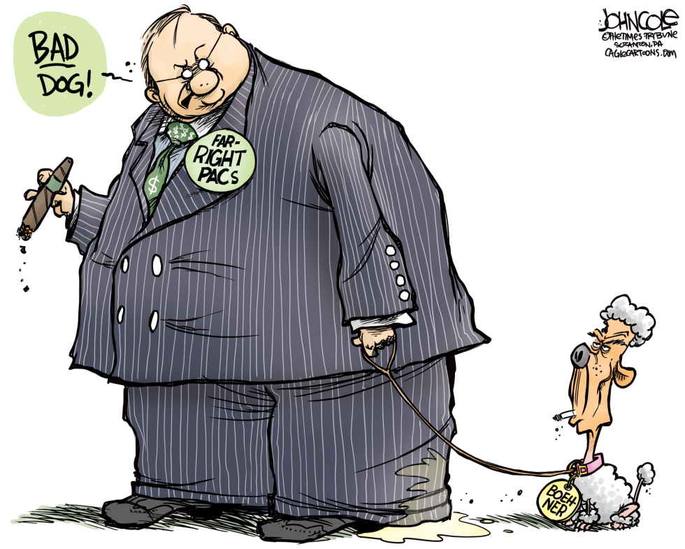 Boehner the poodle COLOR