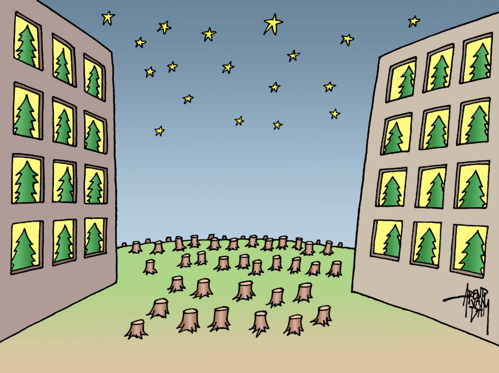 Christmas trees