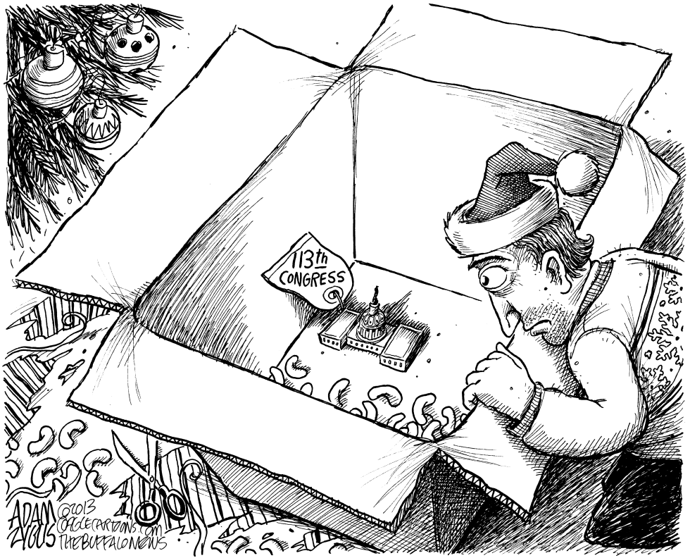 113th Congress