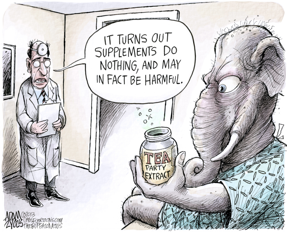 Political Supplements COLOR