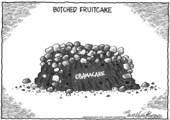 OBAMACARE FRUITCAKE by Bob Englehart
