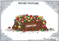 OBAMACARE FRUITCAKE  by Bob Englehart
