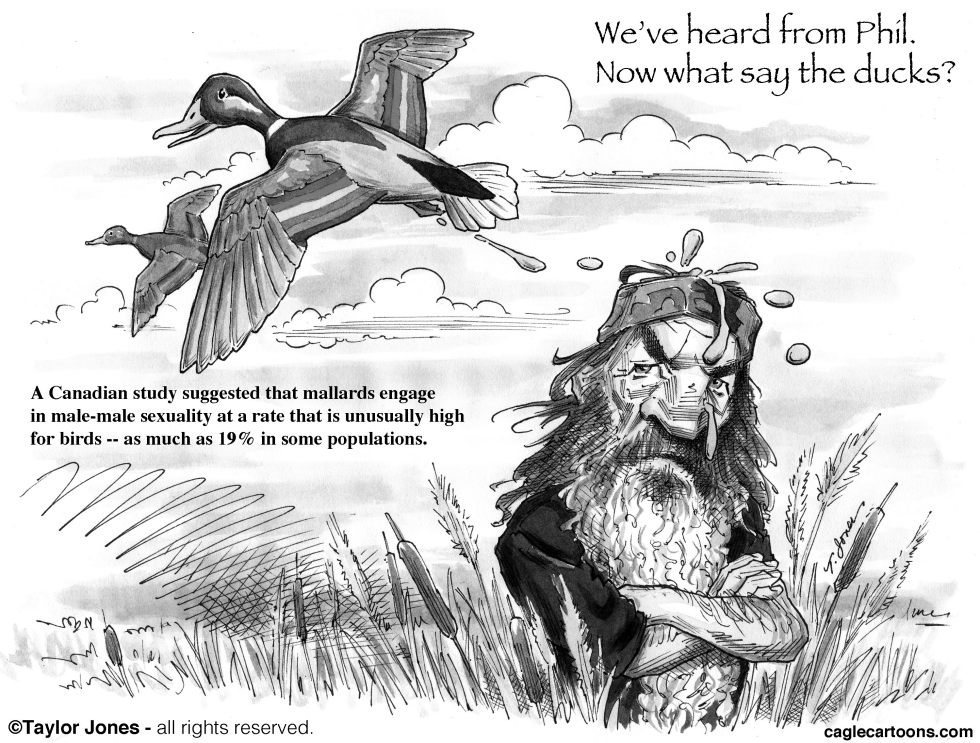 What say the ducks