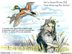 WHAT SAY THE DUCKS - by Taylor Jones