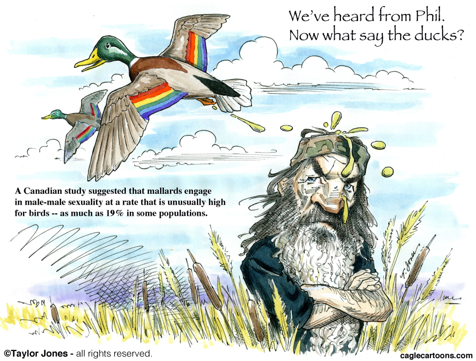 What say the ducks - COLOR
