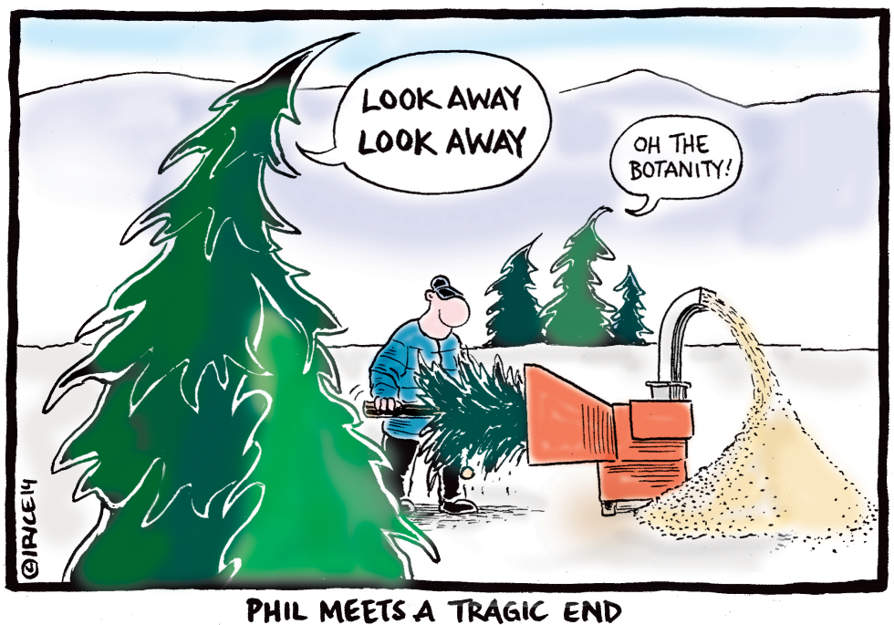 A Bitter End To The Holiday Season