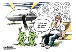 ADO LEGAL MARIJUANA  by Jimmy Margulies