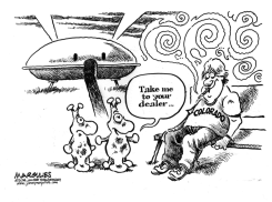 ADO LEGAL MARIJUANA by Jimmy Margulies