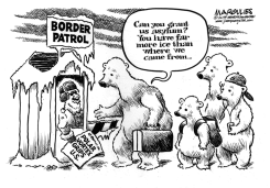 POLAR VORTEX by Jimmy Margulies
