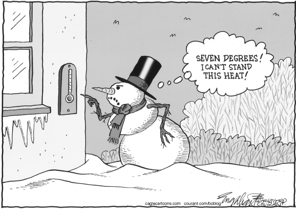 Polar Vortex