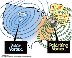 POLARIZING VORTEX  by John Cole