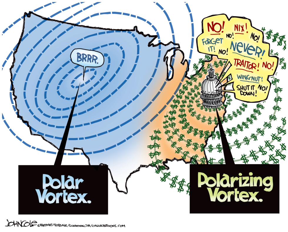 Polarizing vortex COLOR