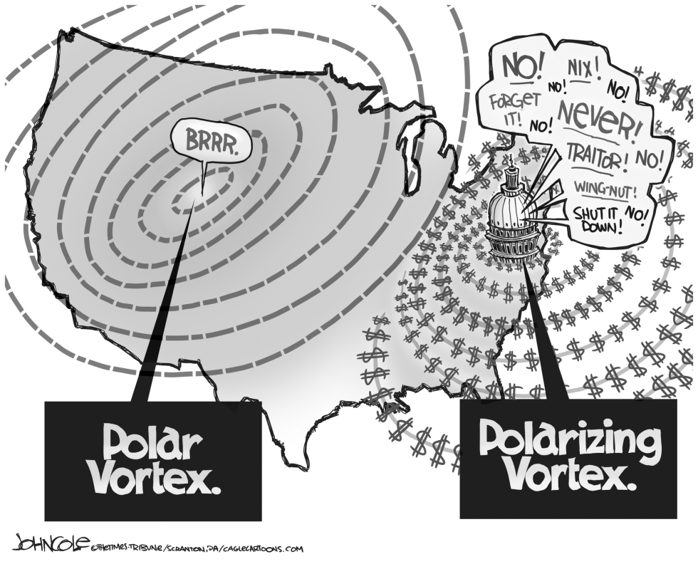 Polarizing vortex BW
