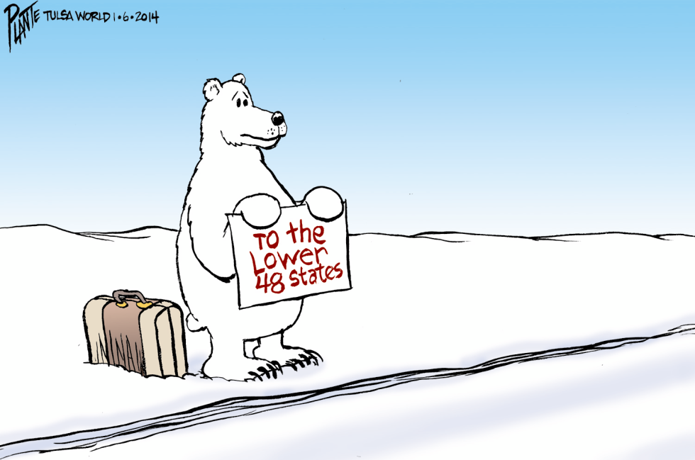 Polar Bear Cold