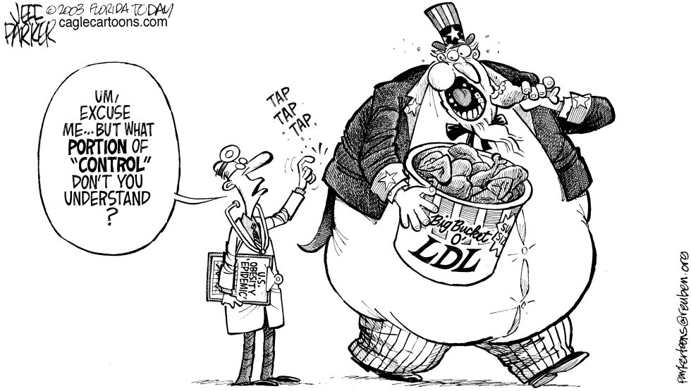 Fat America