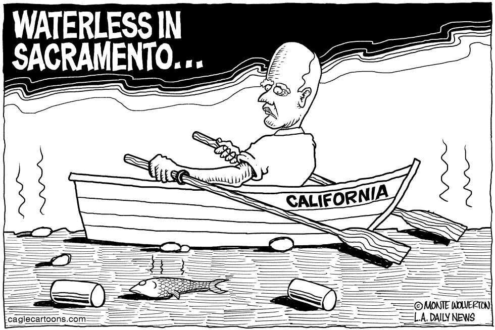 LOCAL-CA Waterless in Sacramento