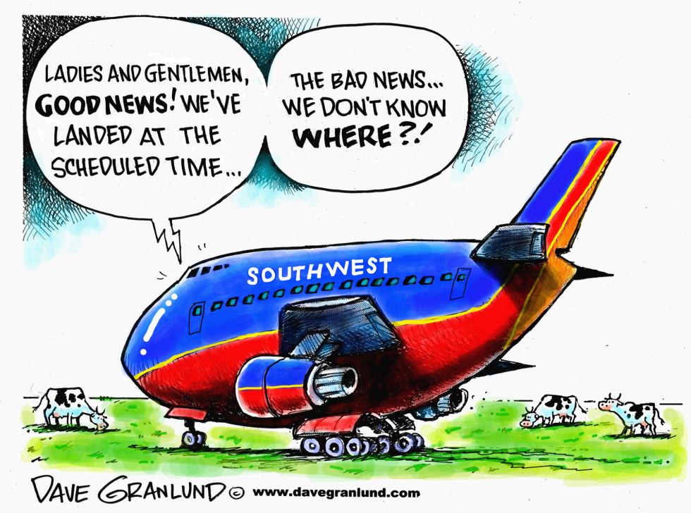 Southwest Airlines pilot error