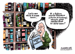FLORIDA MOVIE THEATRE SHOOTING  by Jimmy Margulies