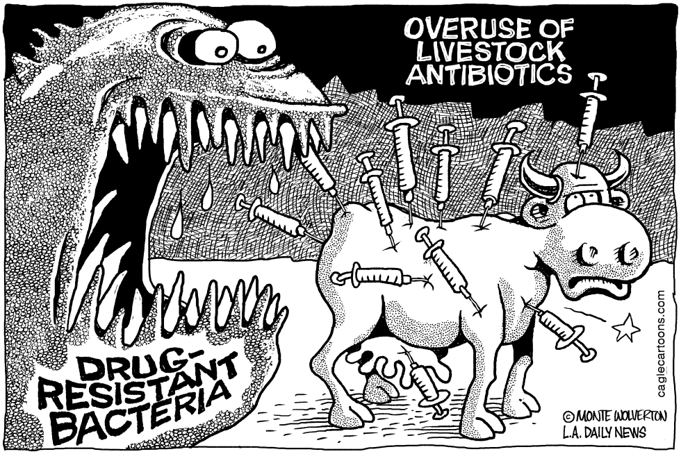 Overuse of Livestock Antibiotics