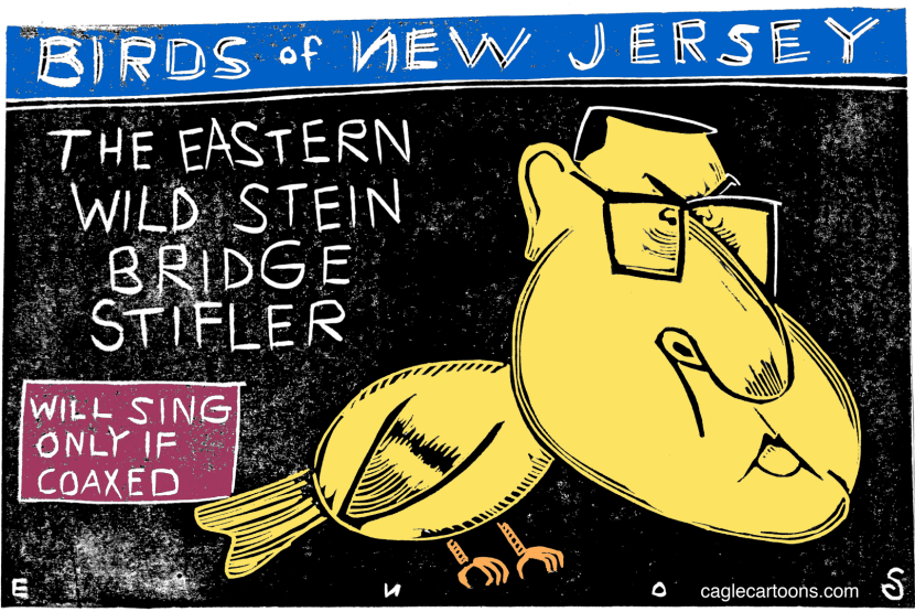 David Wildstein COLOR