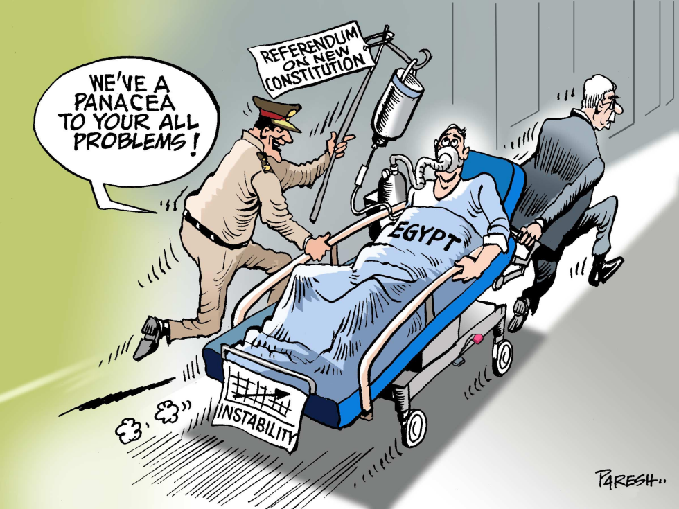  EGYPT REFERENDUM by Paresh Nath