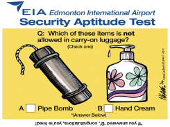 AIRPORT SECURITY by Steve Nease