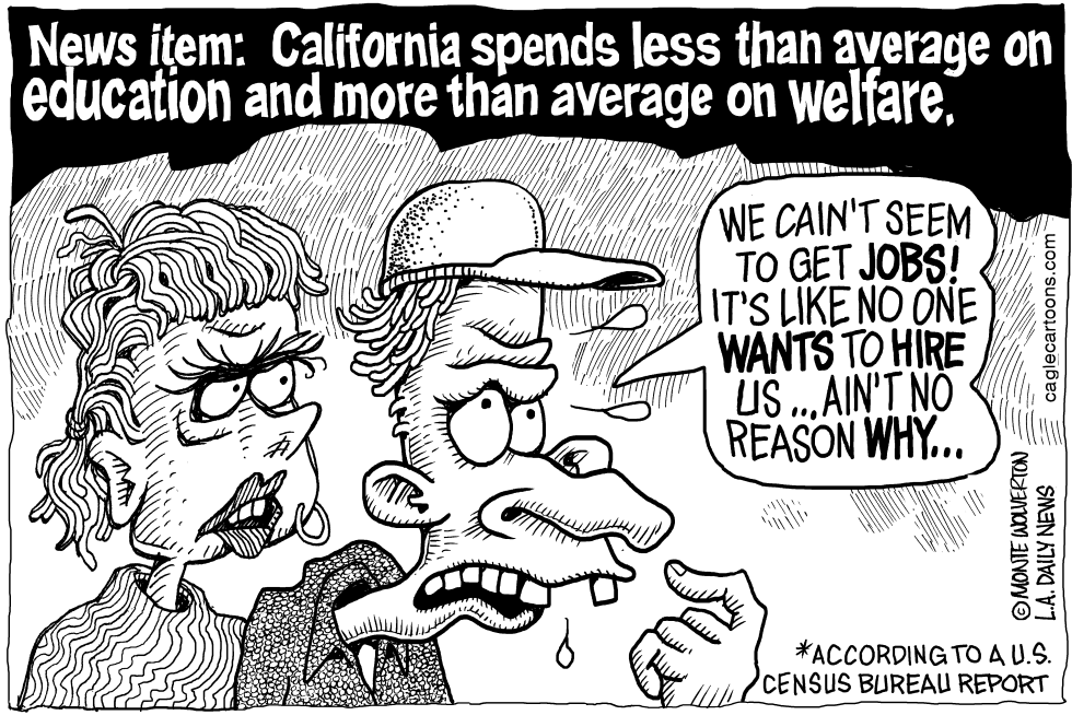 LOCAL-CA Less Education More Welfare