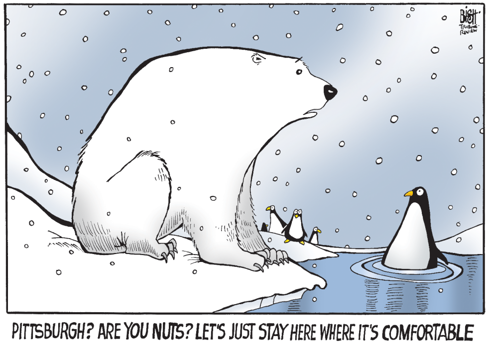 POLAR VORTEX, COLOR